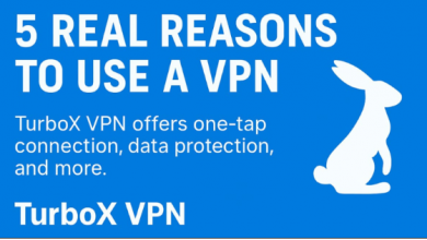 unlock-the-internet-securely-and-swiftly-with-rabbit-turbo-secure-vpn